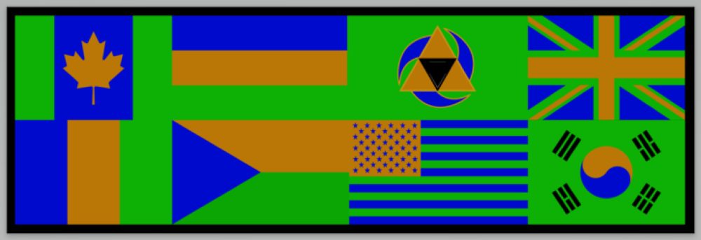 The citizens flag, photographed